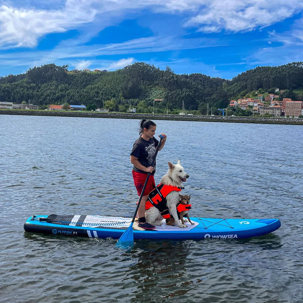 インフレータブルサップボードWOWSEA Flyfish F1 – Catamaran Japan