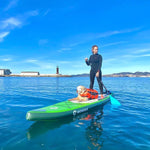 画像をギャラリービューアに読み込む, WowseaサップボードFlyfish F2