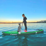 画像をギャラリービューアに読み込む, WowseaサップボードFlyfish F2