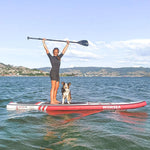 画像をギャラリービューアに読み込む, WowseaサップボードRacer R1