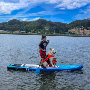 インフレータブルサップボードWOWSEA Flyfish F1 – Catamaran Japan インフレータブルサップボードWOWSEA Flyfish F1 – Catamaran Japan