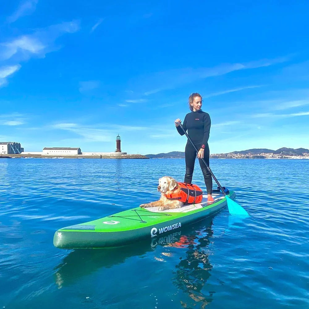 ハギWOWSEA Flyfish F2 サップフィッシングに最適 SUP インフレータブルサップボードWOWSEA Flyfish F2 – Catamaran Japan