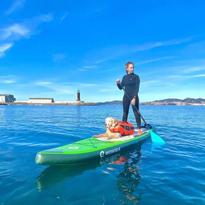 インフレータブルサップボードWOWSEA Flyfish F2 – Catamaran Japan インフレータブルサップボードWOWSEA Flyfish F2 – Catamaran Japan