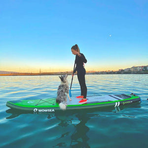 インフレータブルサップボードWOWSEA Flyfish F2 – Catamaran Japan インフレータブルサップボードWOWSEA Flyfish F2 – Catamaran Japan